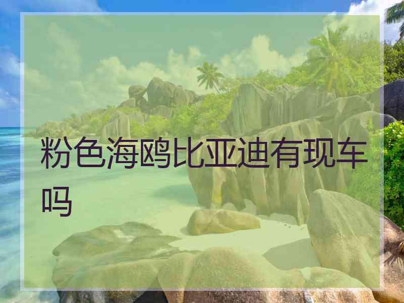 粉色海鸥比亚迪有现车吗