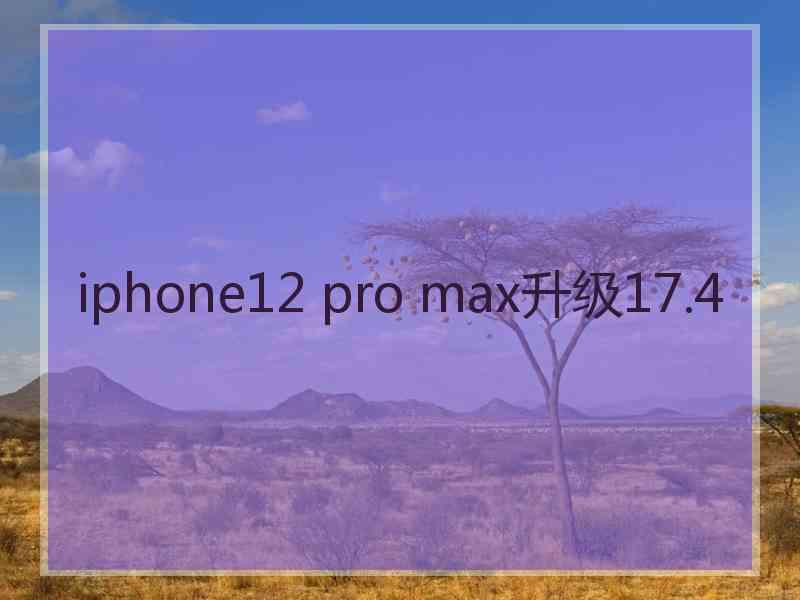 iphone12 pro max升级17.4