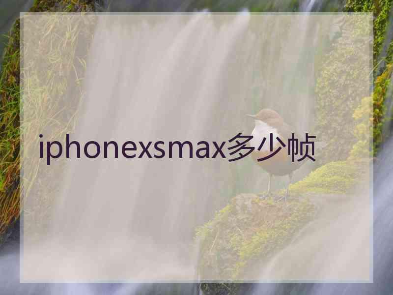 iphonexsmax多少帧