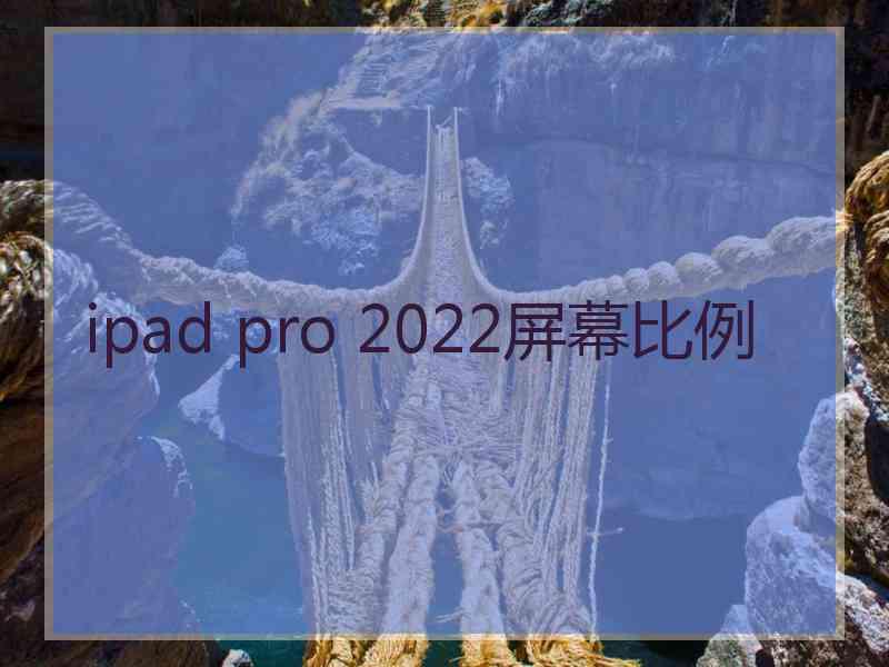 ipad pro 2022屏幕比例