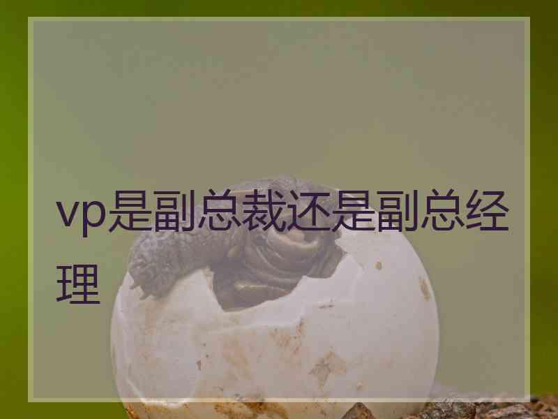 vp是副总裁还是副总经理