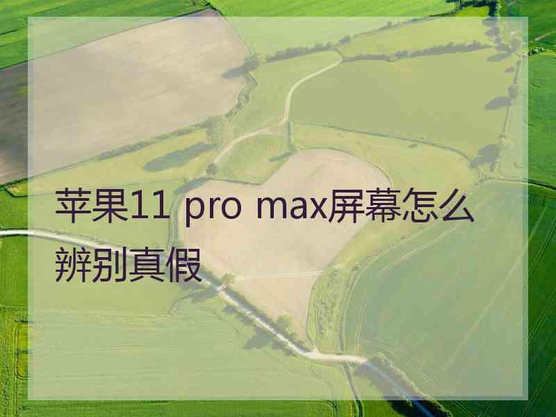 苹果11 pro max屏幕怎么辨别真假