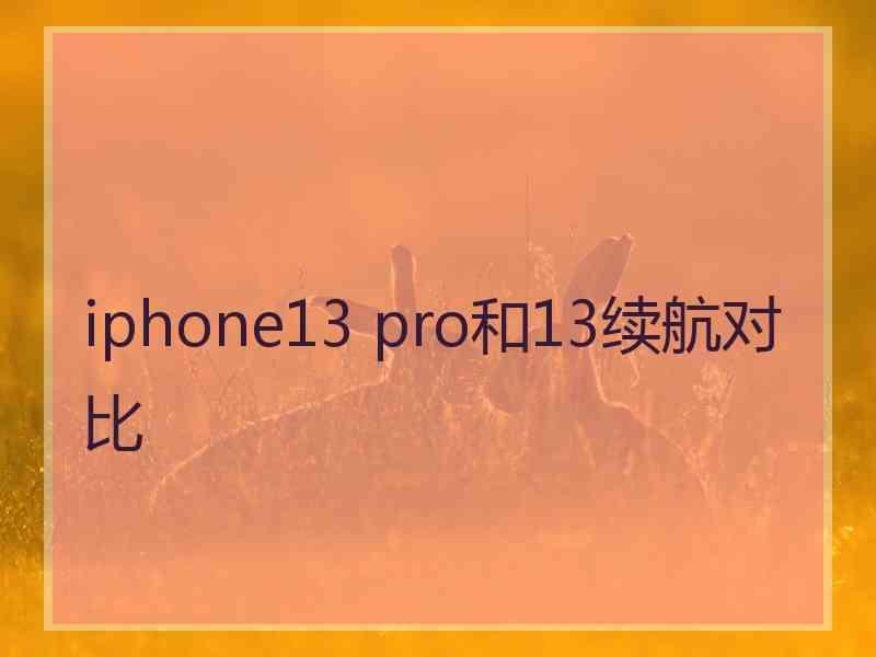 iphone13 pro和13续航对比