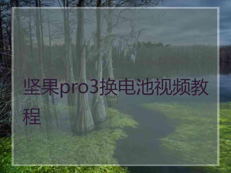 坚果pro3换电池视频教程