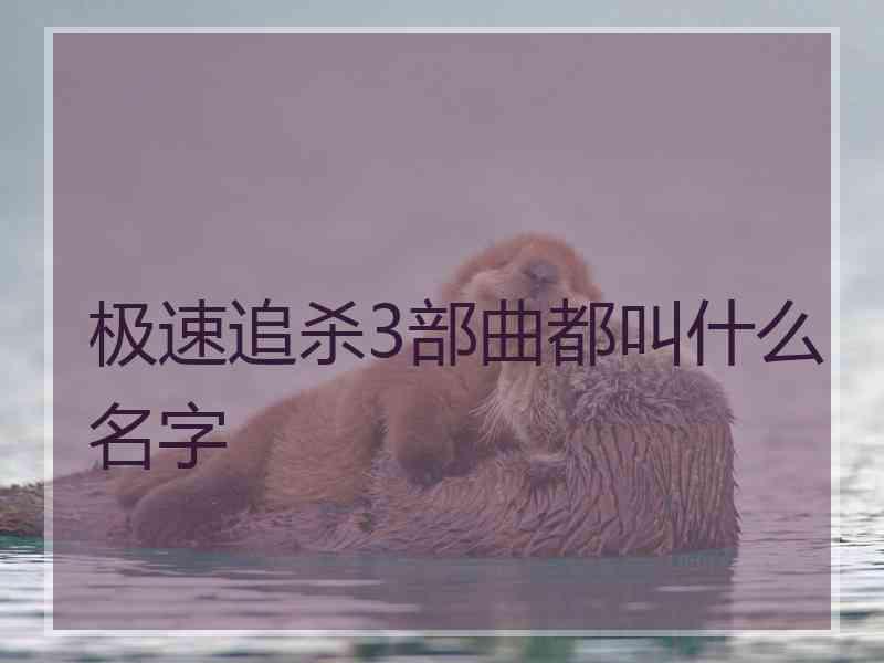 极速追杀3部曲都叫什么名字