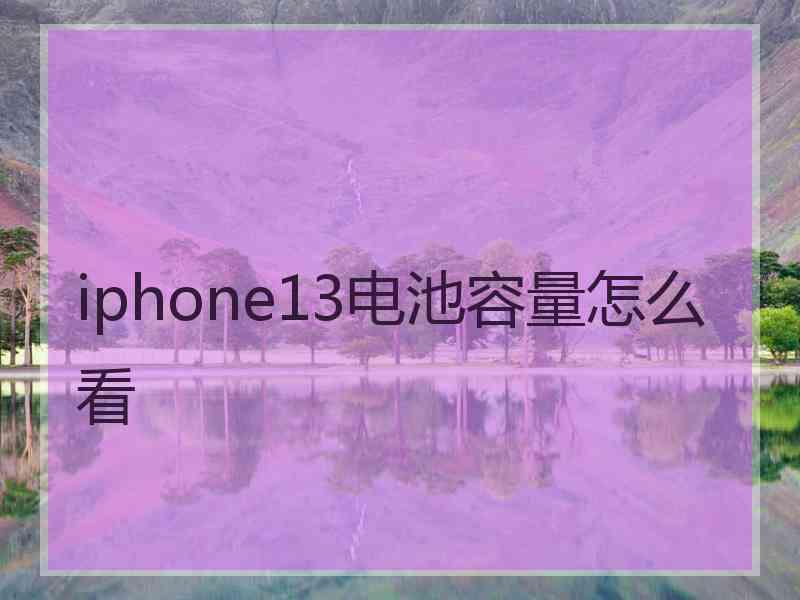 iphone13电池容量怎么看