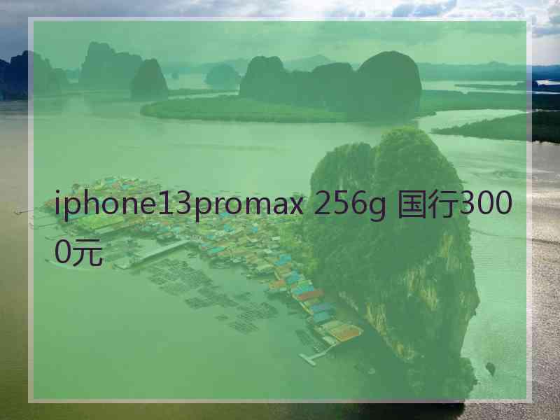 iphone13promax 256g 国行3000元