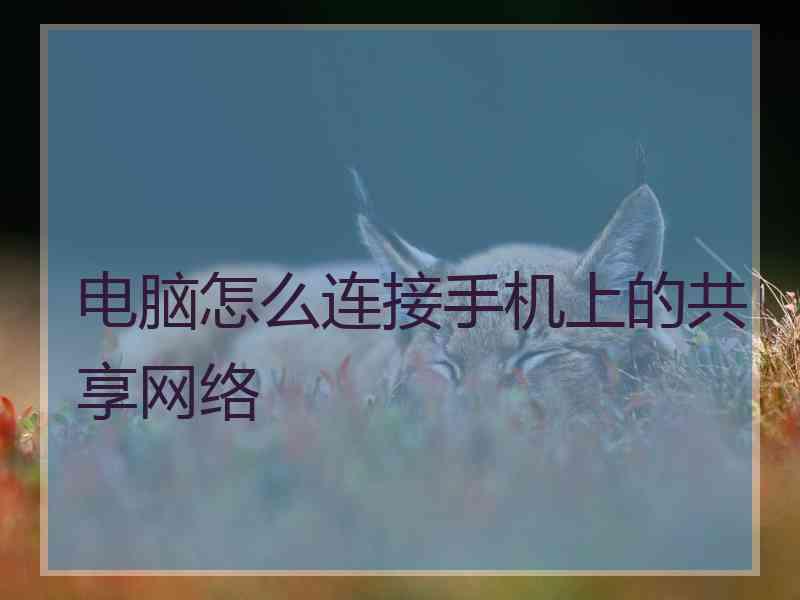 电脑怎么连接手机上的共享网络