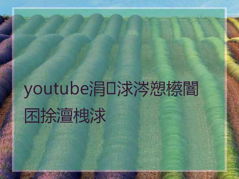 youtube涓浗涔愬櫒闇囨捈澶栧浗