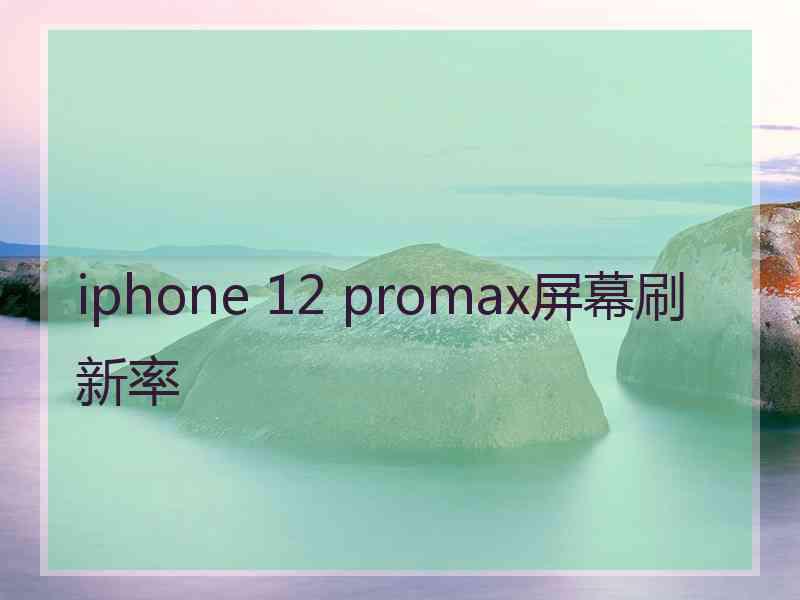 iphone 12 promax屏幕刷新率