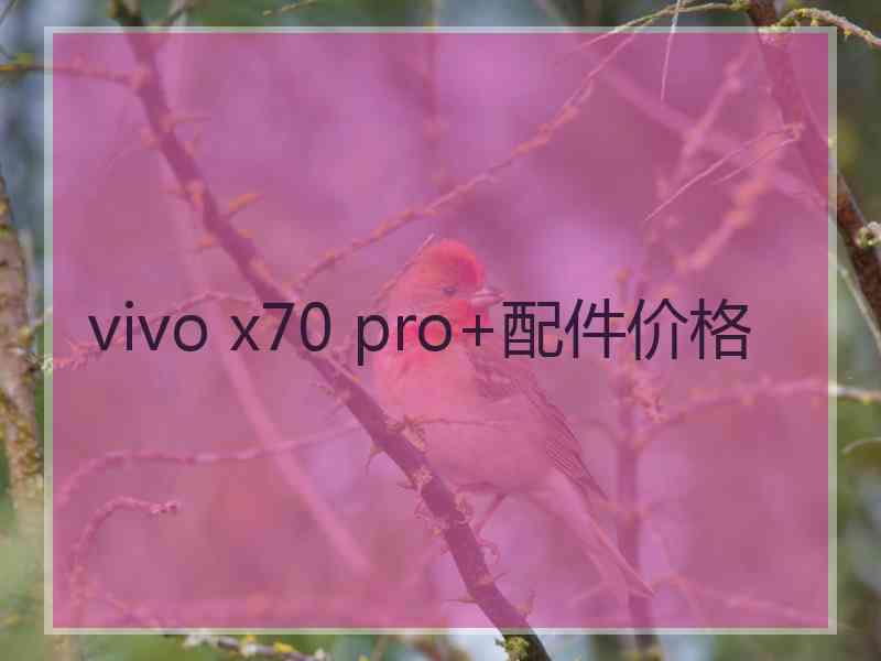 vivo x70 pro+配件价格