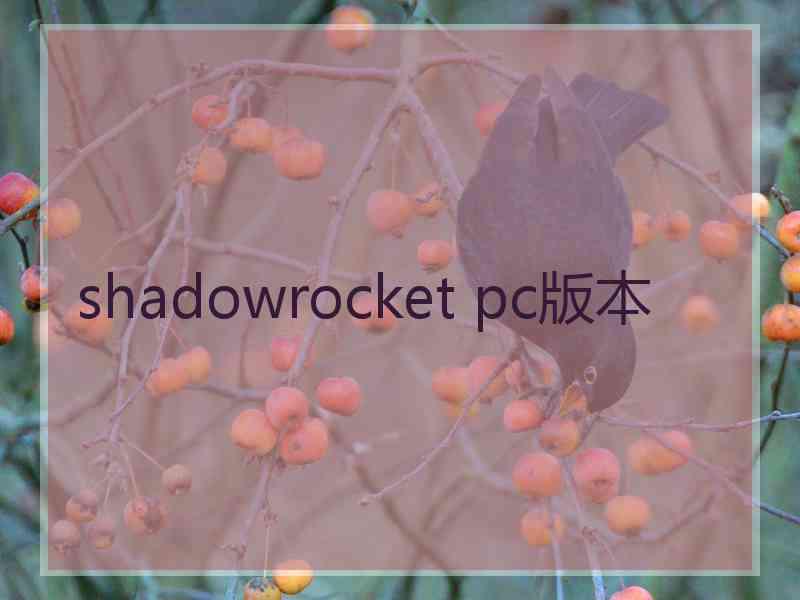 shadowrocket pc版本