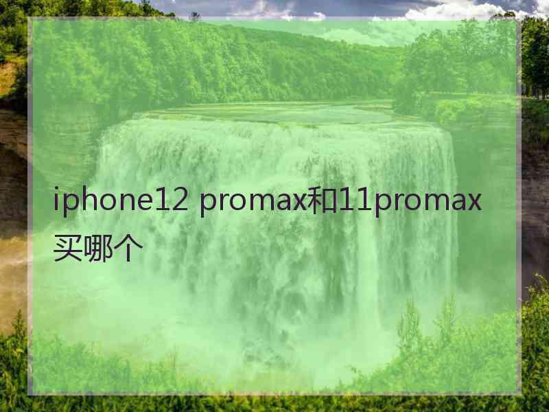 iphone12 promax和11promax买哪个