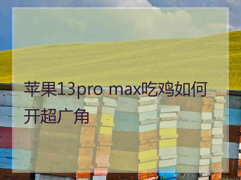 苹果13pro max吃鸡如何开超广角