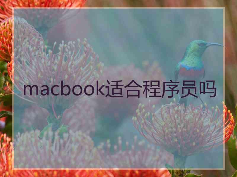 macbook适合程序员吗