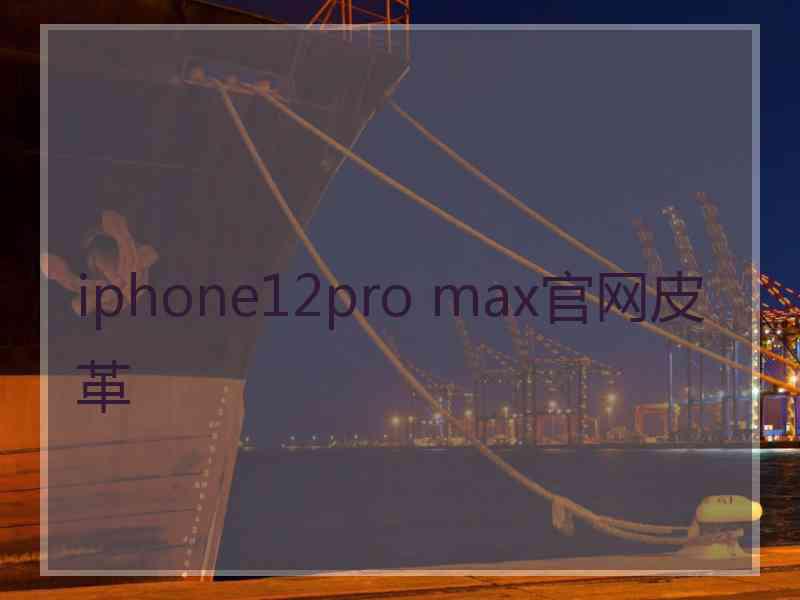 iphone12pro max官网皮革