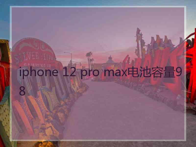 iphone 12 pro max电池容量98