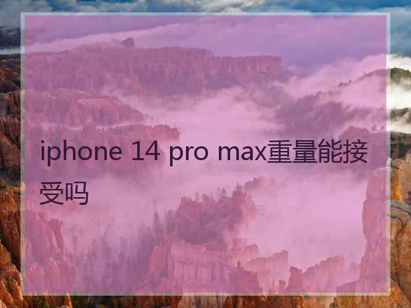 iphone 14 pro max重量能接受吗