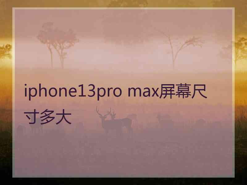 iphone13pro max屏幕尺寸多大