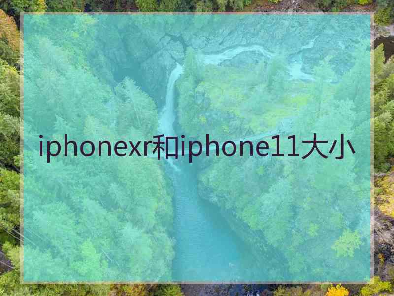 iphonexr和iphone11大小