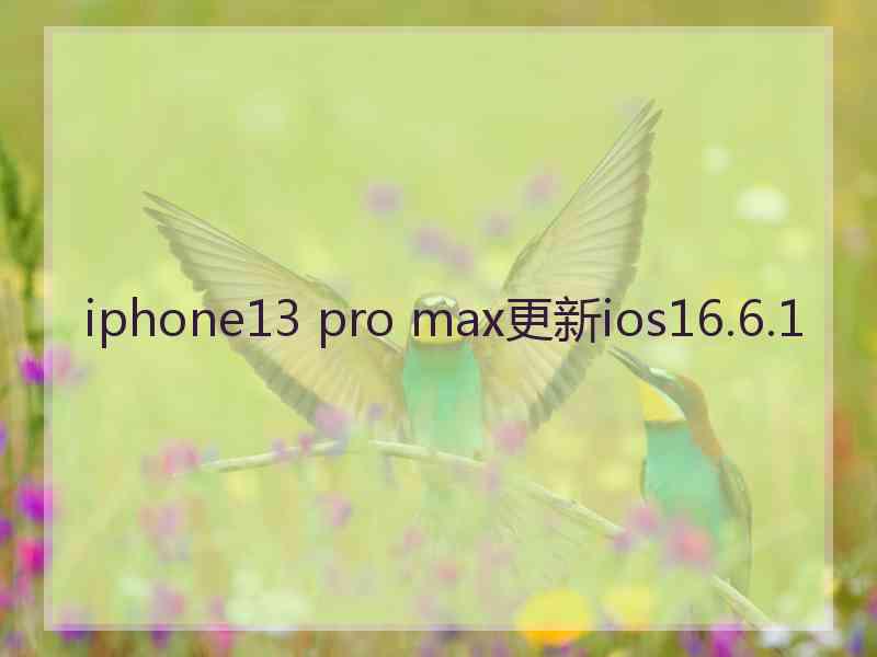 iphone13 pro max更新ios16.6.1