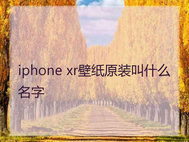 iphone xr壁纸原装叫什么名字