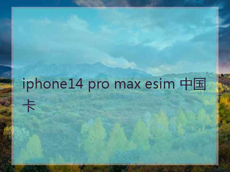 iphone14 pro max esim 中国卡