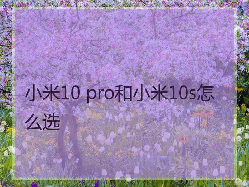 小米10 pro和小米10s怎么选