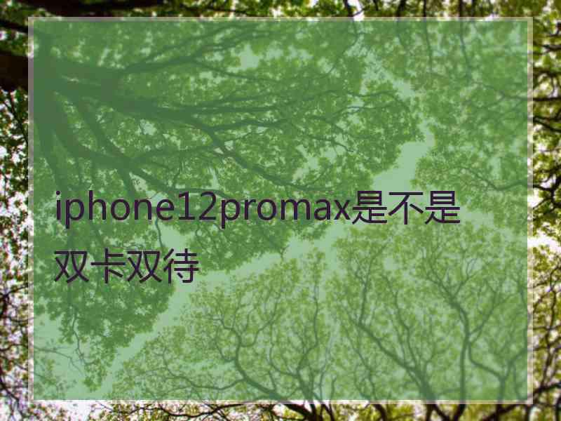 iphone12promax是不是双卡双待