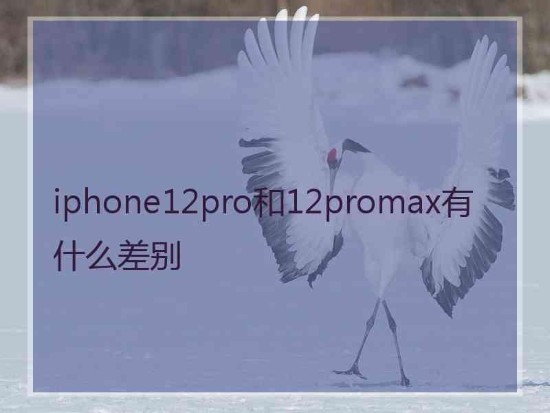 iphone12pro和12promax有什么差别