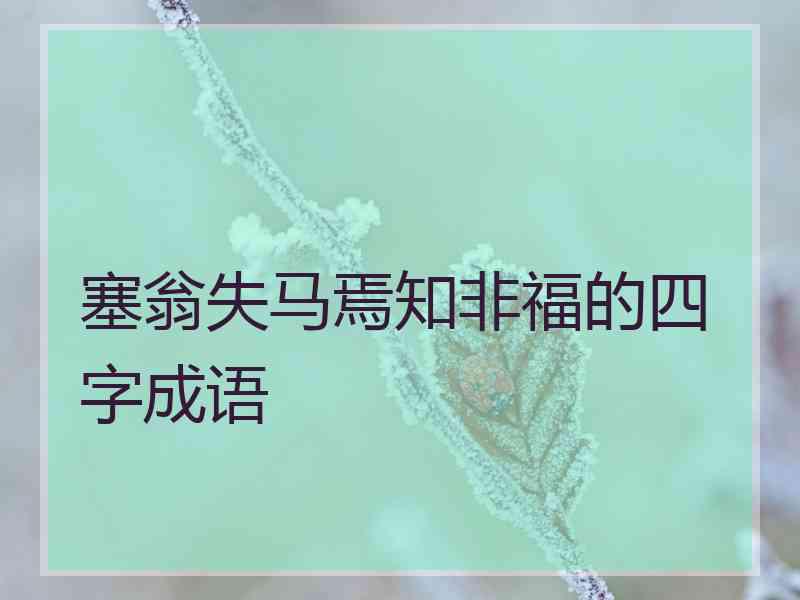 塞翁失马焉知非福的四字成语