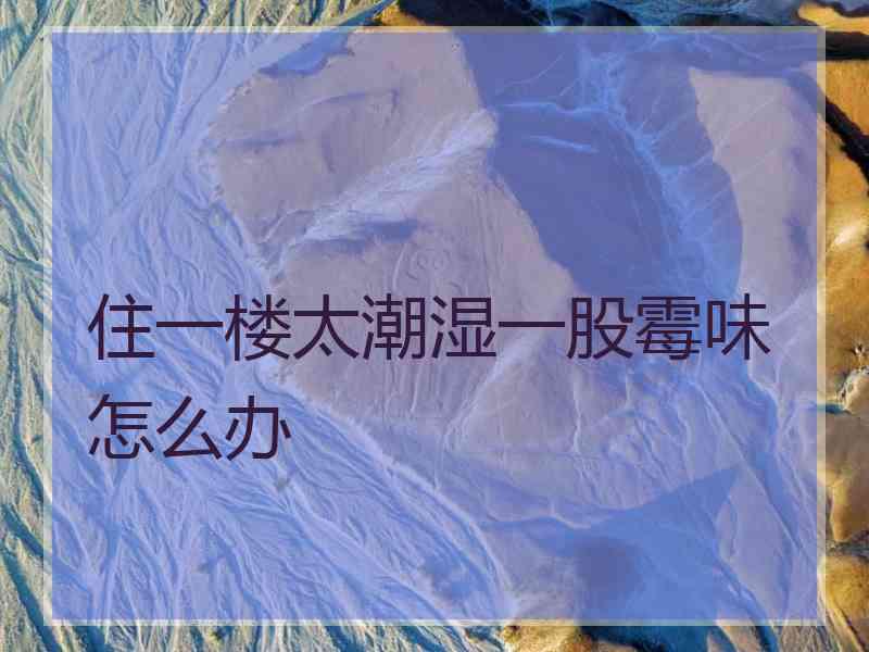 住一楼太潮湿一股霉味怎么办