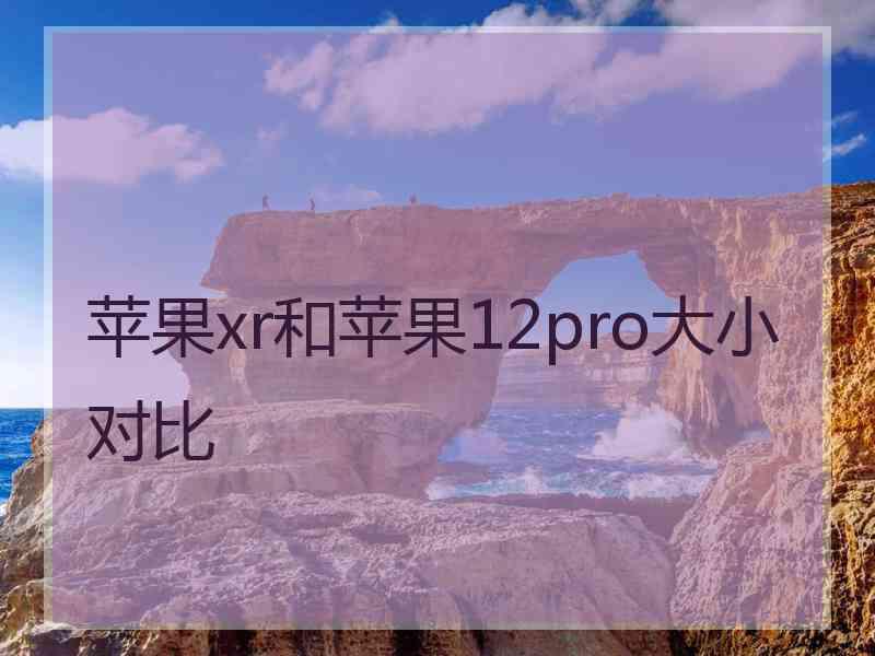 苹果xr和苹果12pro大小对比