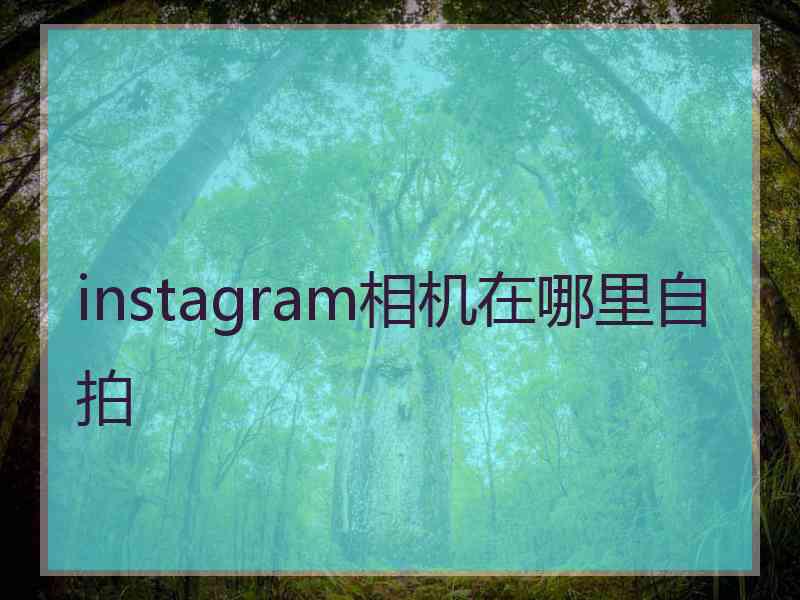 instagram相机在哪里自拍