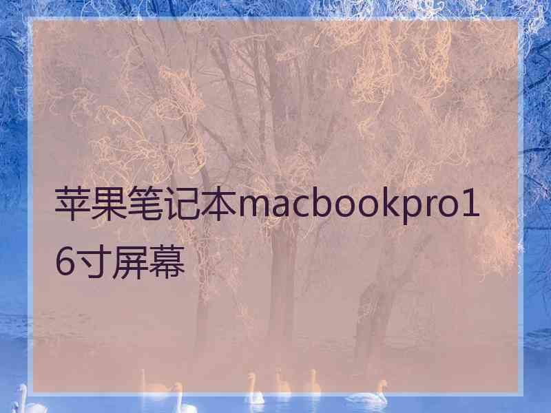 苹果笔记本macbookpro16寸屏幕