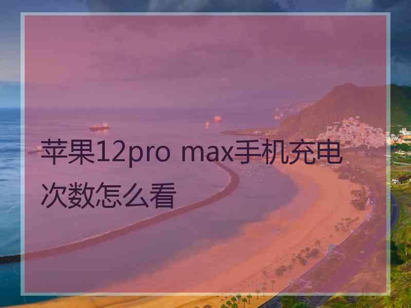 苹果12pro max手机充电次数怎么看