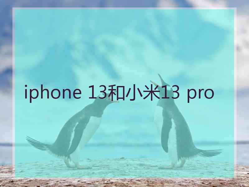 iphone 13和小米13 pro