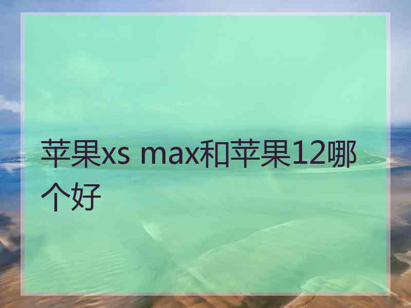 苹果xs max和苹果12哪个好