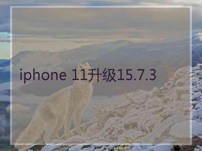 iphone 11升级15.7.3