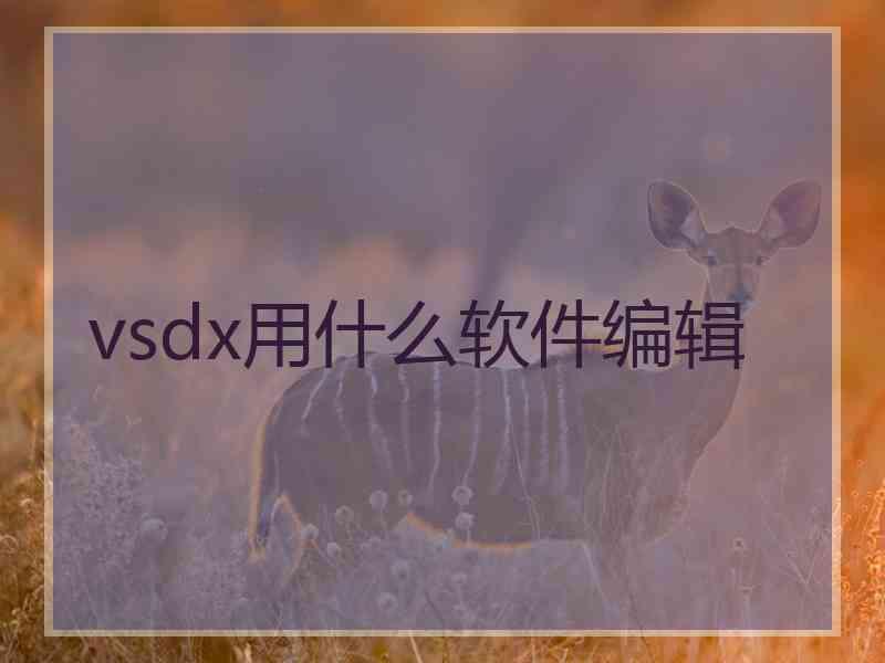 vsdx用什么软件编辑