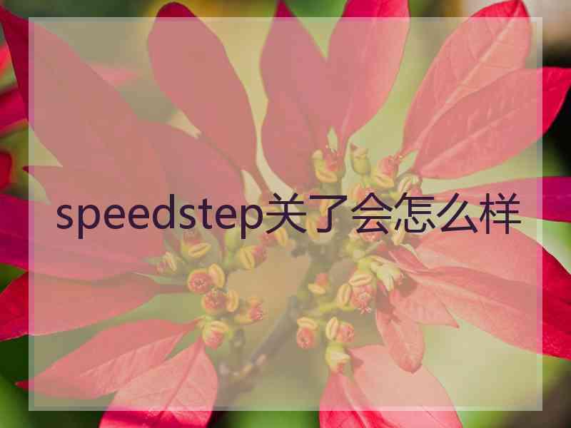 speedstep关了会怎么样