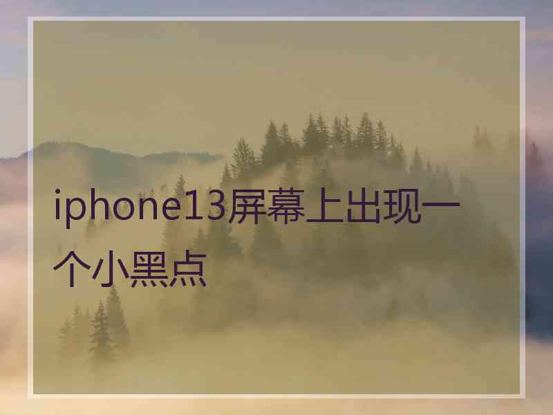 iphone13屏幕上出现一个小黑点