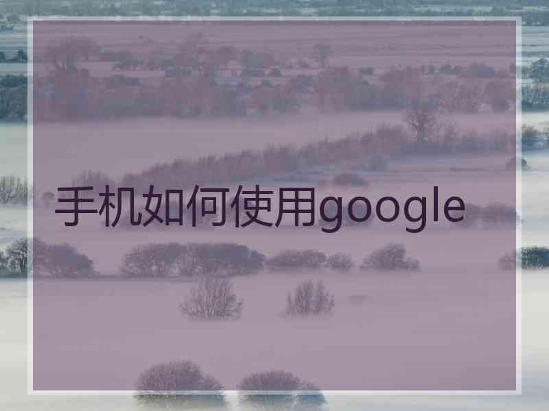 手机如何使用google