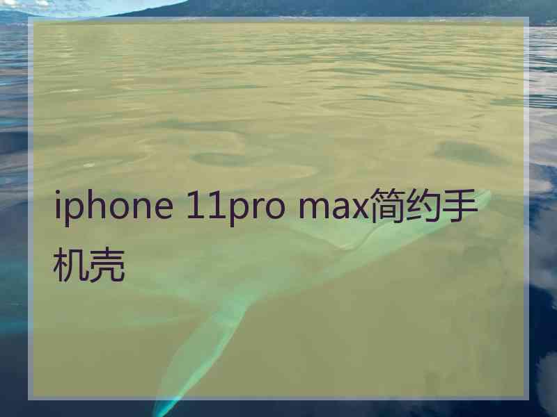 iphone 11pro max简约手机壳