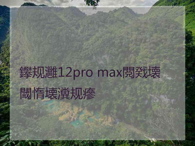 鑻规灉12pro max閲戣壊閾惰壊瀵规瘮