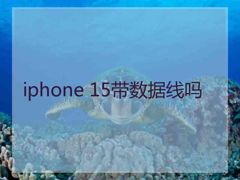 iphone 15带数据线吗