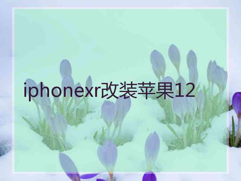 iphonexr改装苹果12