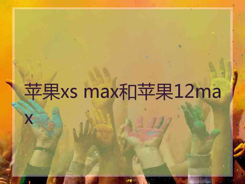 苹果xs max和苹果12max