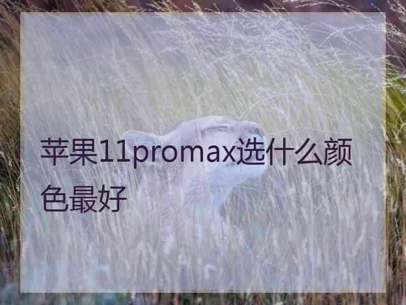 苹果11promax选什么颜色最好