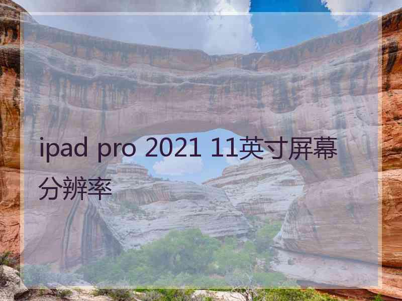 ipad pro 2021 11英寸屏幕分辨率